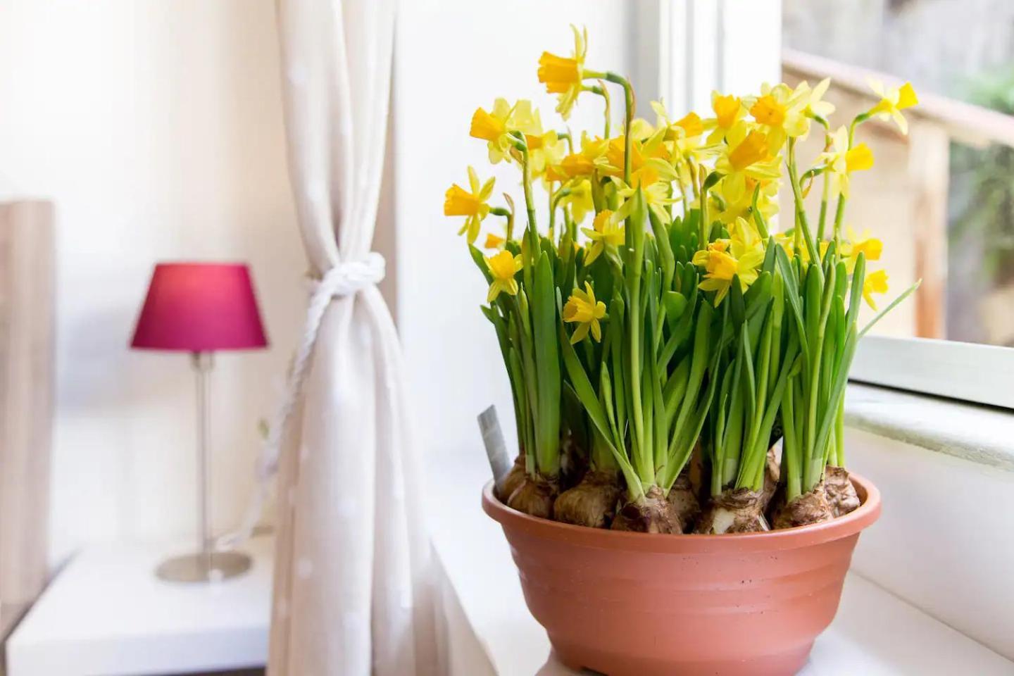 Perla - Cozy Apartment In Piazza Navona Roma Ngoại thất bức ảnh